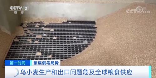 小麥價格大漲！全球糧食危機或?qū)⒈灰?？！?lián)合國糧食計劃署發(fā)出預(yù)警→
