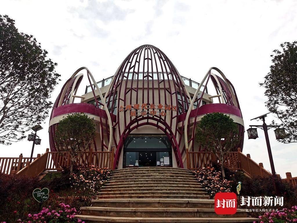 走进"中国石榴之乡"会理:打造百亿级石榴"红产业" 农文旅绘就乡村振兴