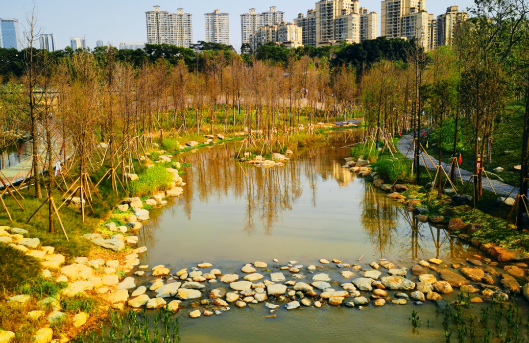 东莞建这么多公园,意欲何为?