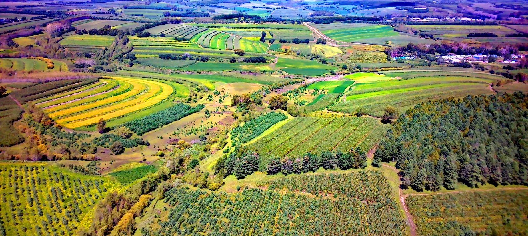 金秋大地丰收 美景斑斓如画