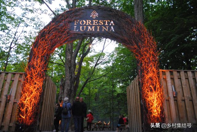 加拿大幻光森林:沉浸式体验让林地公园变成知名夜间旅行目的地
