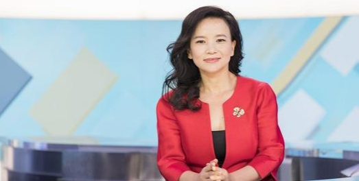 央视女主播成蕾间谍(央视主持人成蕾间谍案)