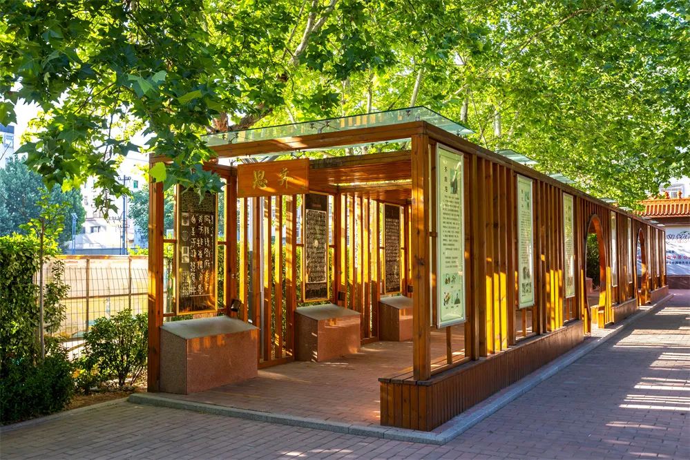 美翻了!快来看看这些藏在潍坊校园里的夏日美景