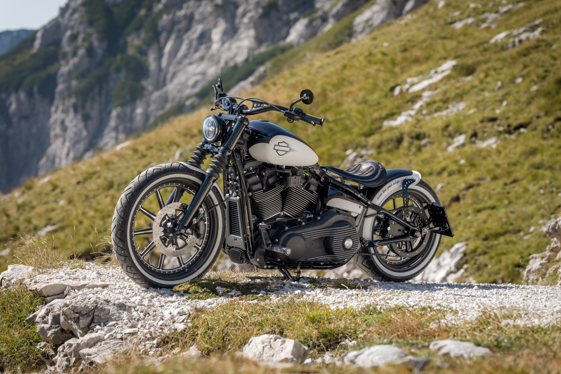 燃烧之翼 哈雷street bob 114改装欣赏