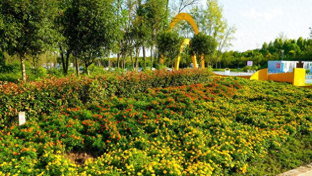 大批外地旅游房车扎营光山方楼公园