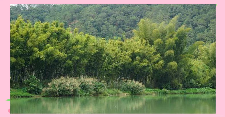 信宜月牙湾:山水交融的休闲度假好去处