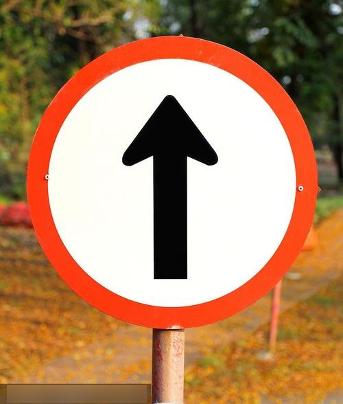 只准直行路标是?