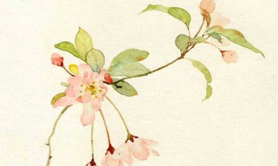 盘点《山海经》中的10个好名字,温柔雅静,非常适合女生!