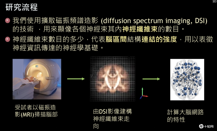 音樂訓練真的能改變大腦神經網絡!陽明交大研究十年登國際期刊封面