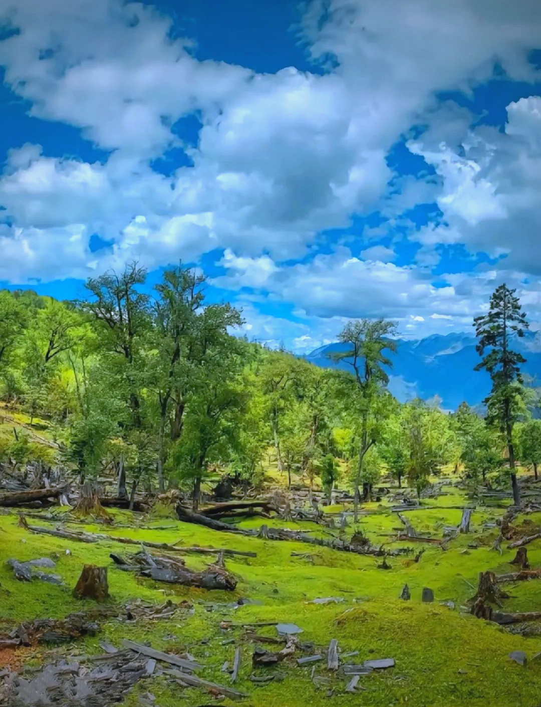 探秘香格里拉:领略云南的多样美景与丰富文化