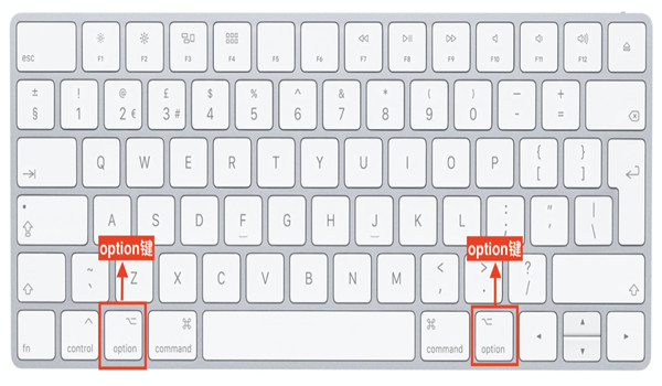 option鍵是哪個鍵?