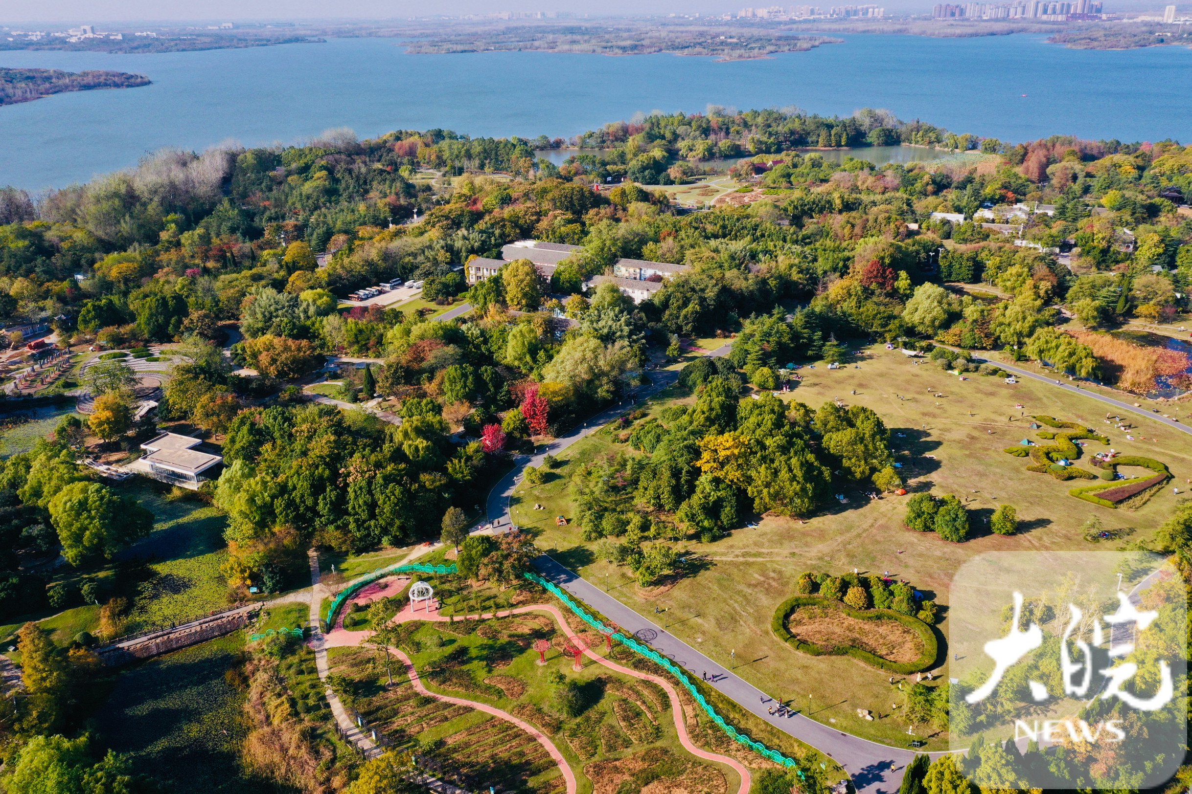 航拍|合肥植物园风景如画 市民搭帐篷游玩