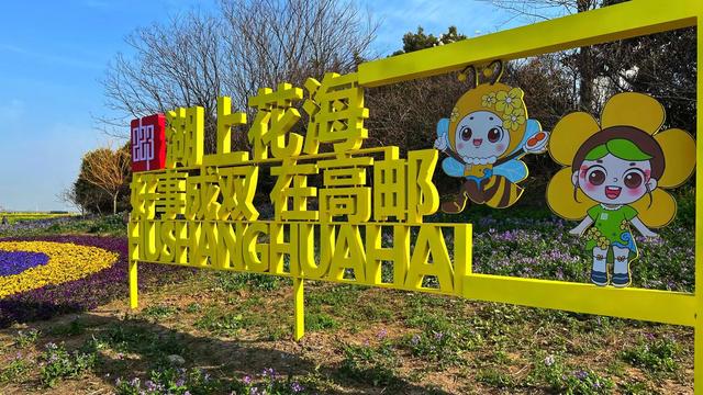万名游客共赏高邮湖上花海