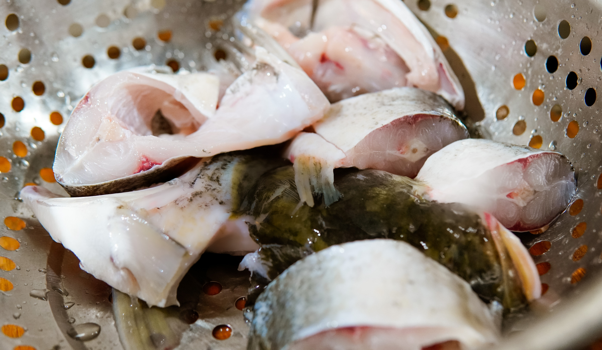 「新会旅游」千里探店,只为鲜到让人吞舌头的司前夜鱼!