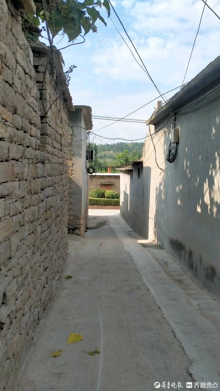 青未了|安城村东小官庄