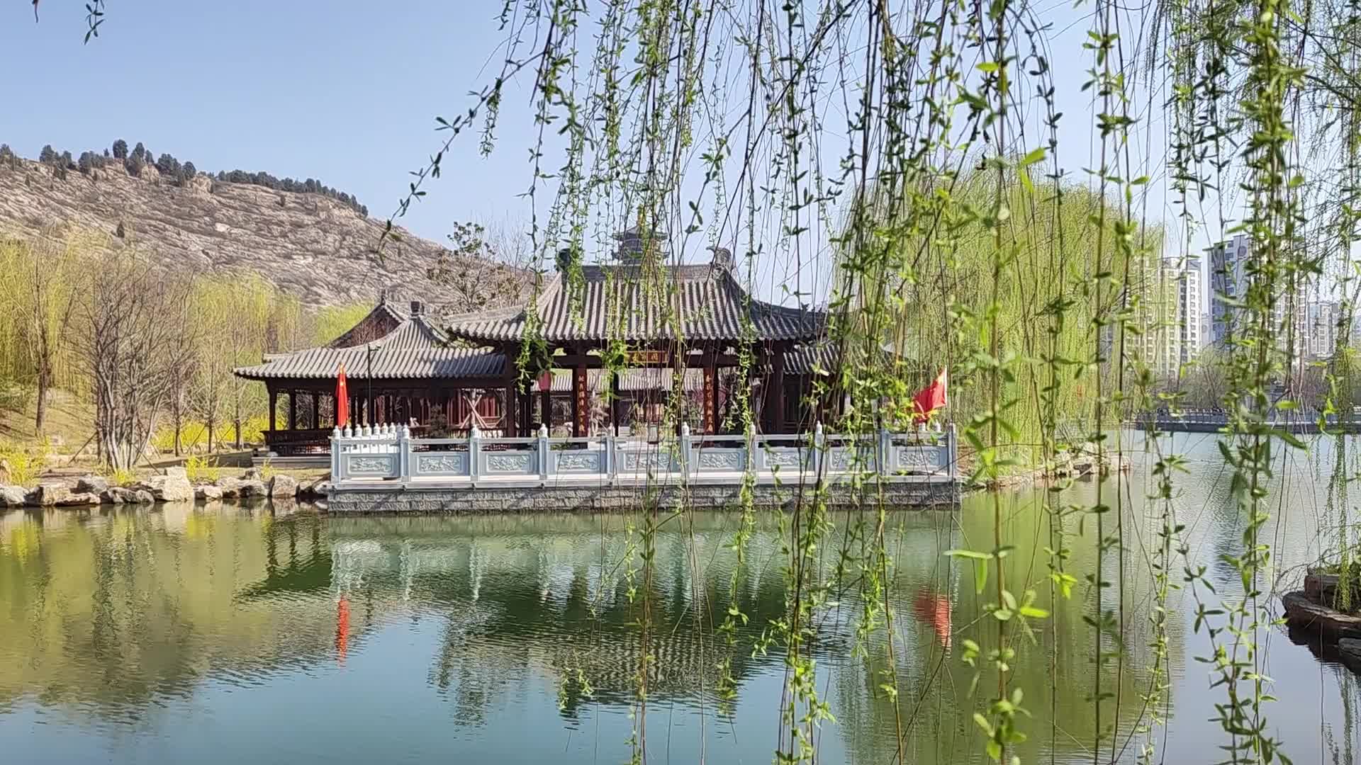 春天的请柬丨春来风景美如画 梁山春园春意浓