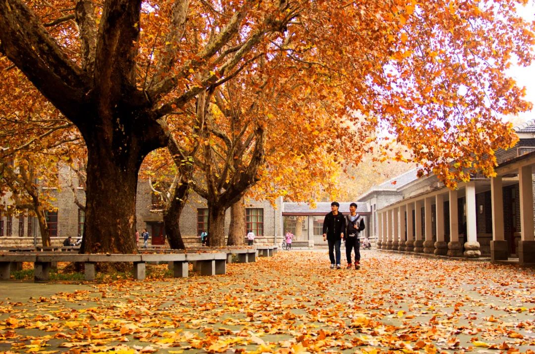 亲爱的曲阜师范大学,生日快乐!