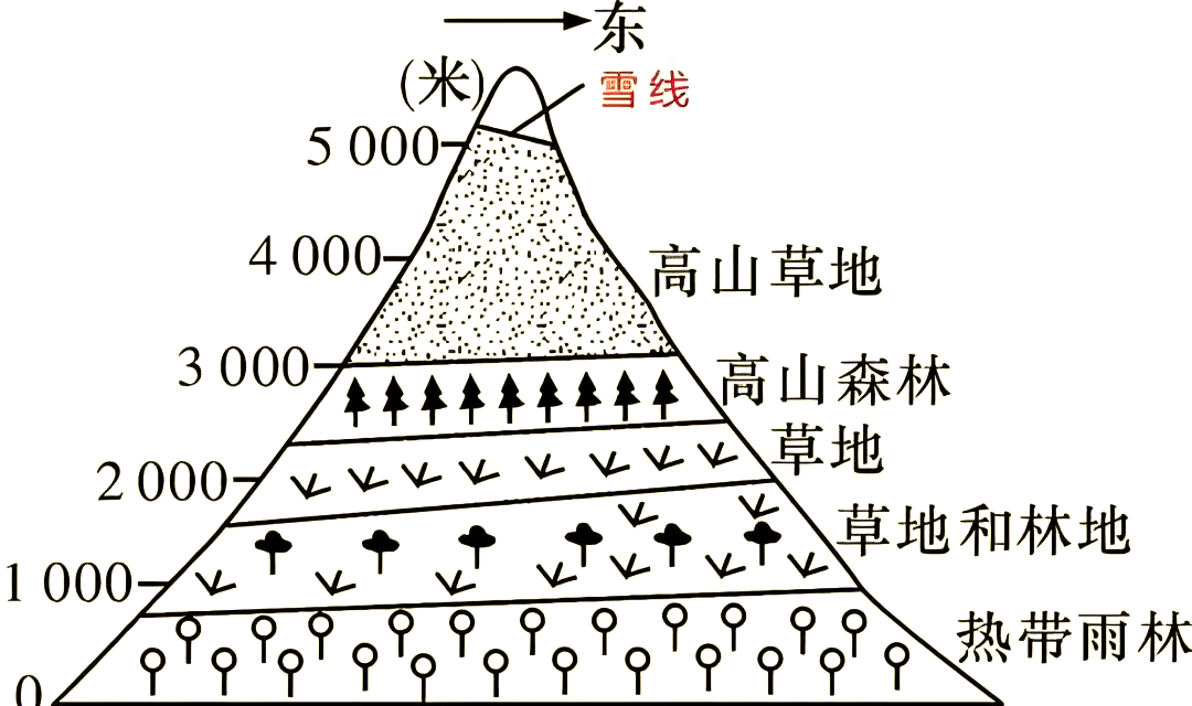 高考地理中垂直带谱的判读方法与技巧