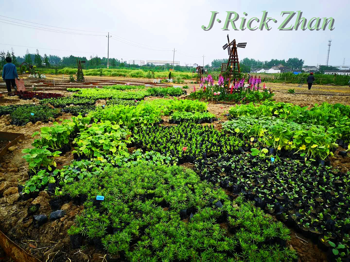 园林式种植蔬菜 - 2020年最新商品信息聚合专区 - 百度爱采购