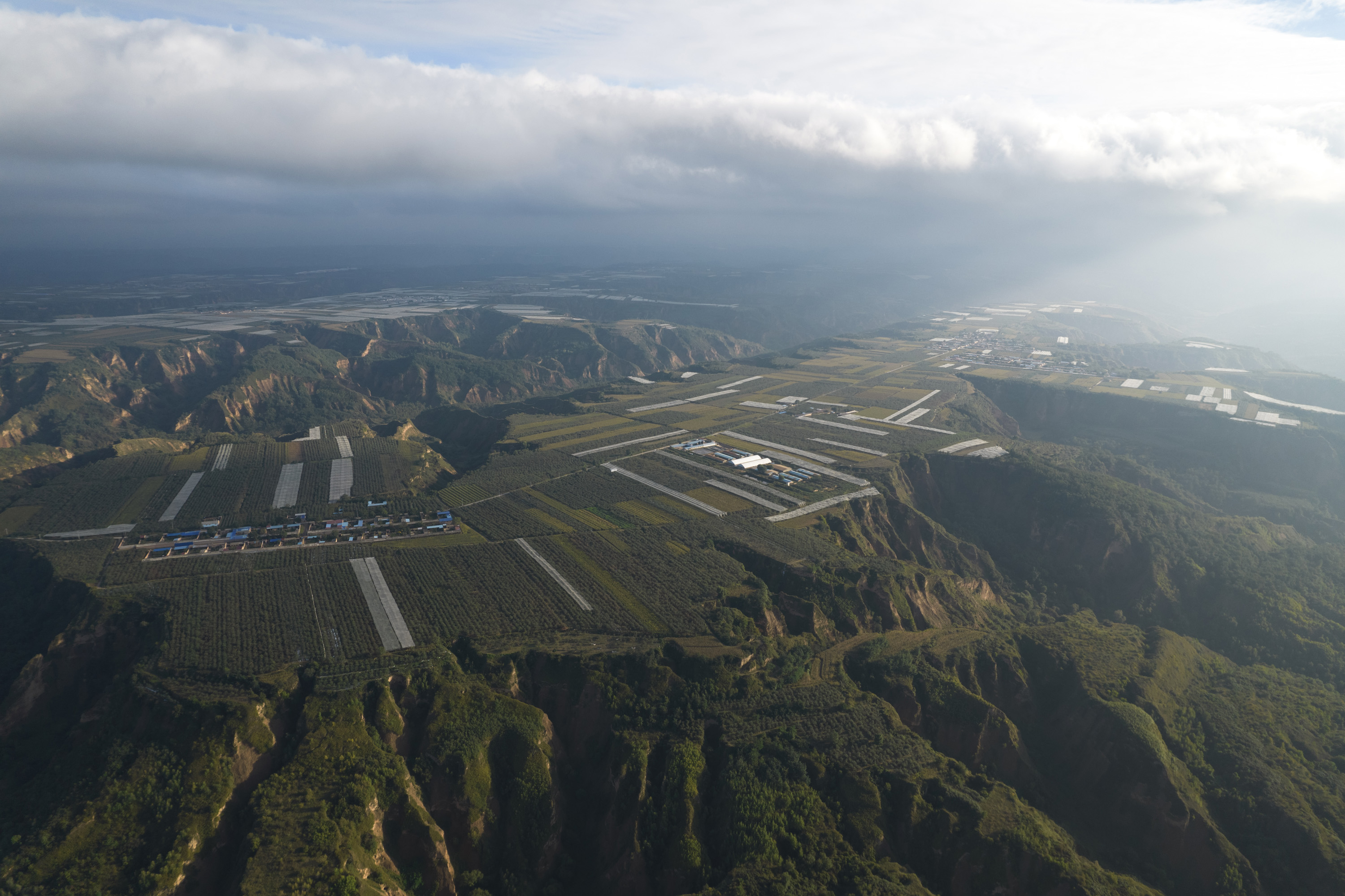 陕西洛川:土苹果变身"时尚果"