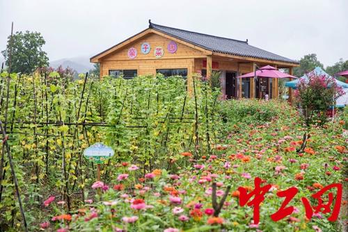 信阳董家河镇楼畈村:村子美了 村民富了