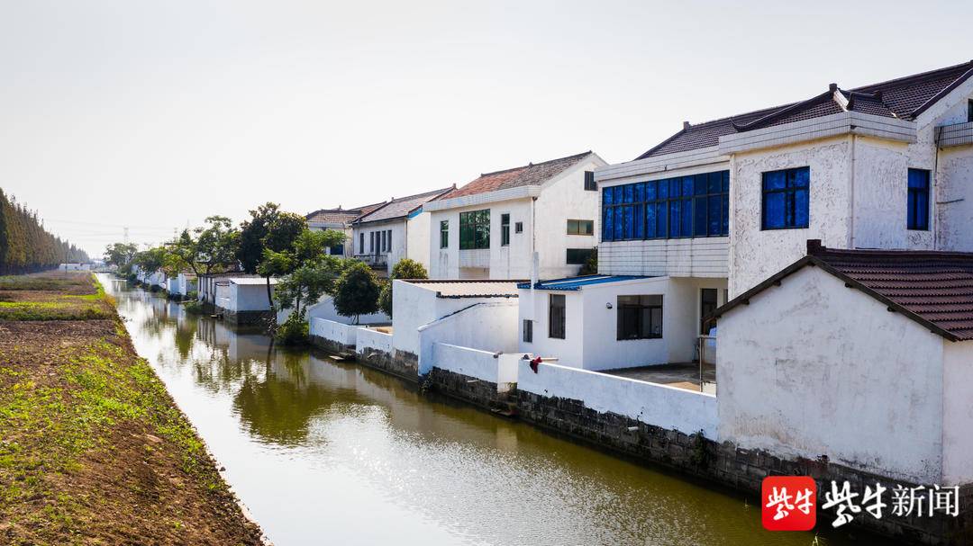 张家港市冶金园(锦丰镇)建设村:"红色引擎"推动乡村面貌"蝶变"