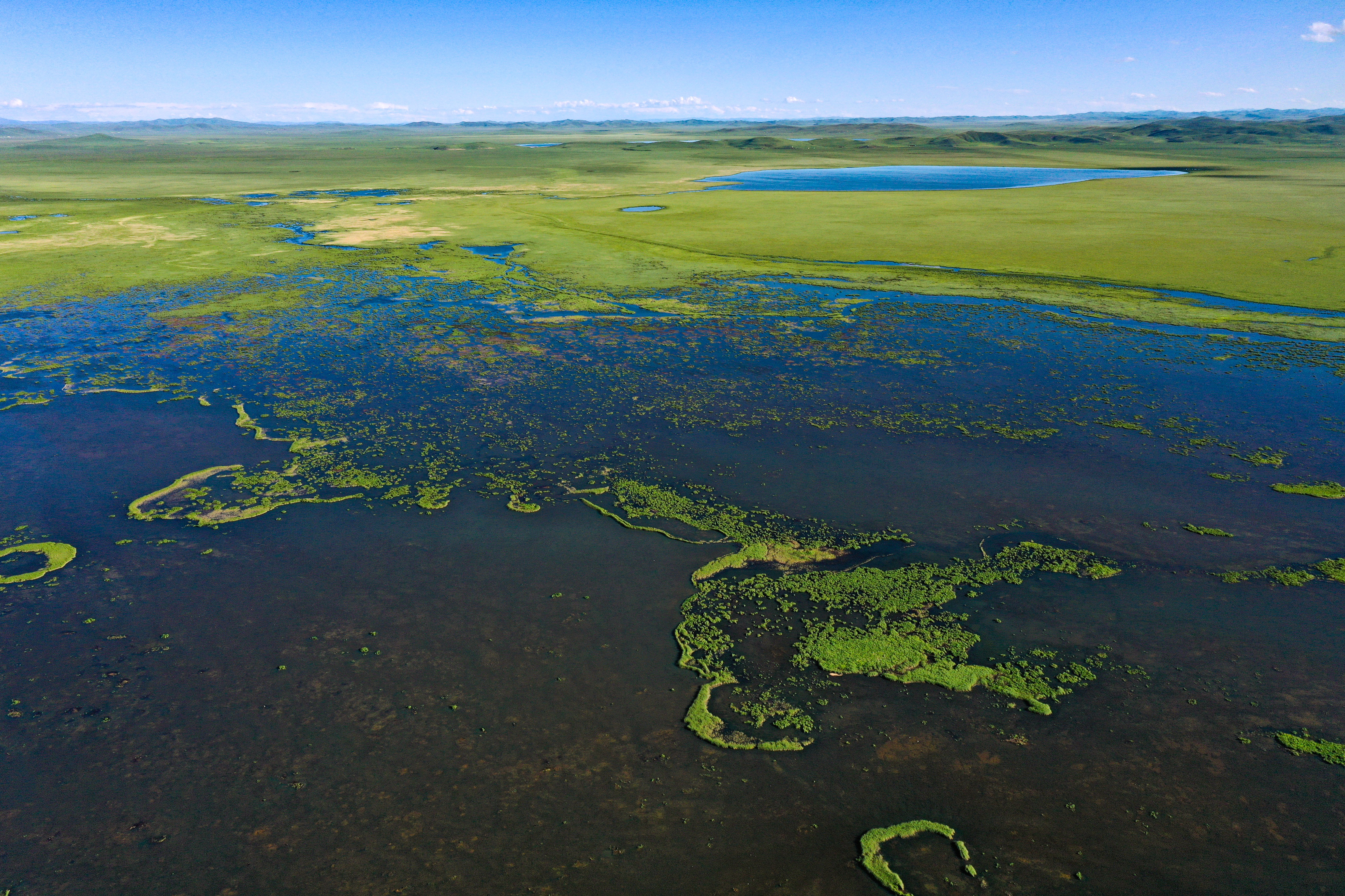 国际重要湿地取水记|四川若尔盖国际重要湿地