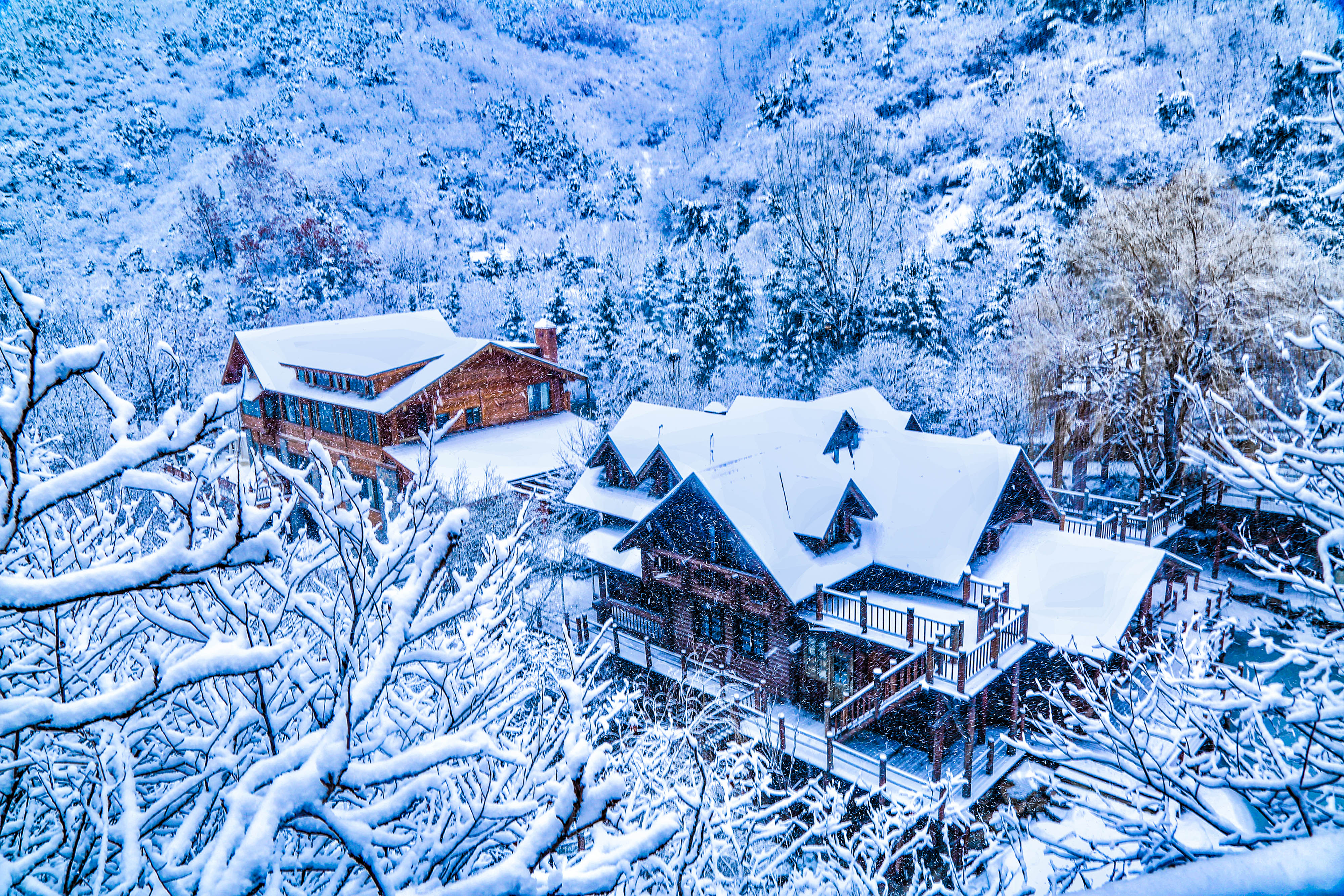 济南下雪了 雪花纷飞寒意袭人