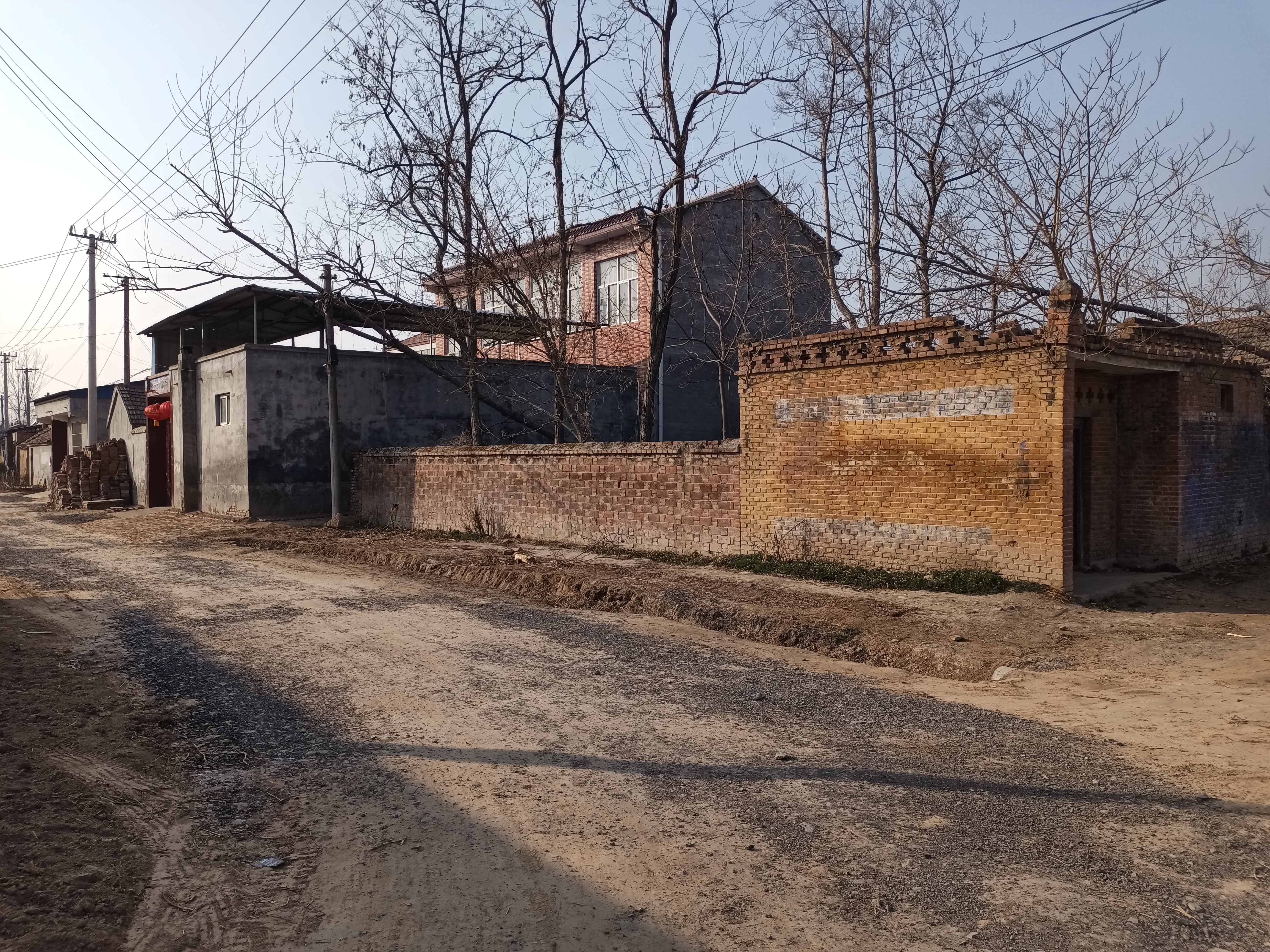 丰县王沟镇老鹳寺:一棵大树上住着一窝大老鹳