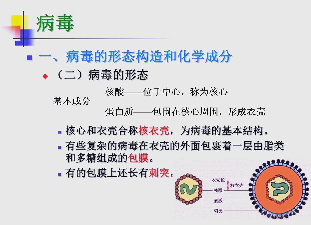 病毒性感 染的成因 解析相关图片2