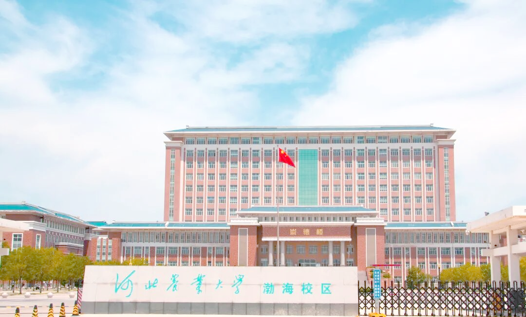 沧州高等教育的转型:从渤海校区到现代科技学院的新生机