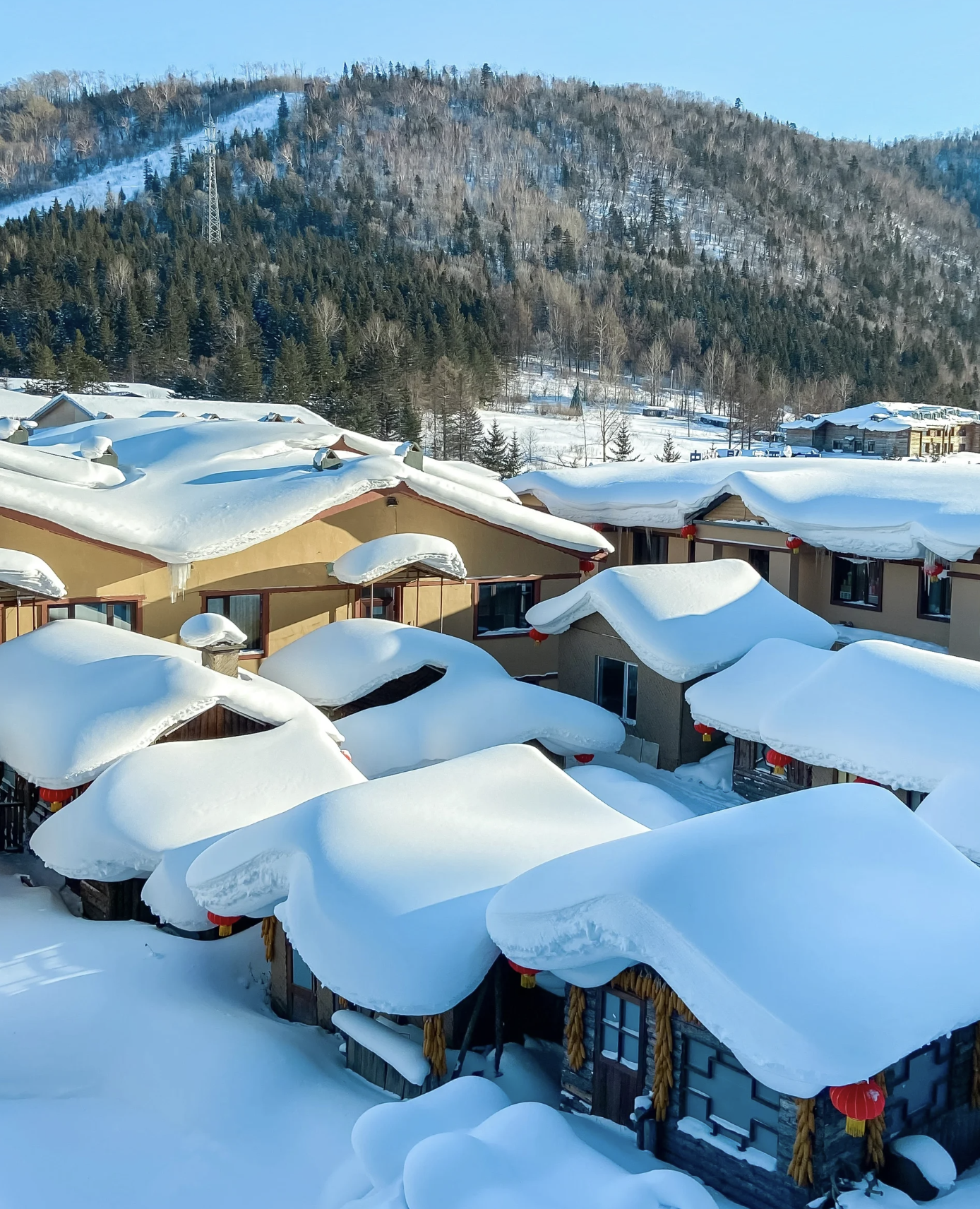 黑龙江雪乡在哪里图片