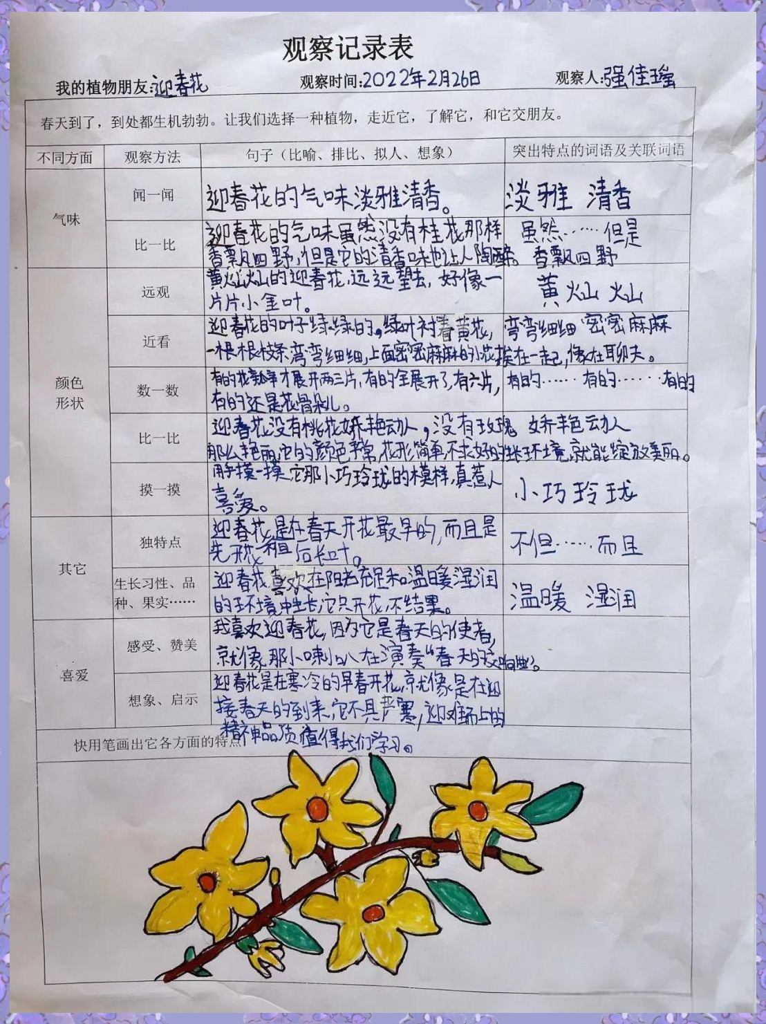 宝小弘毅班植物观察记录表分享