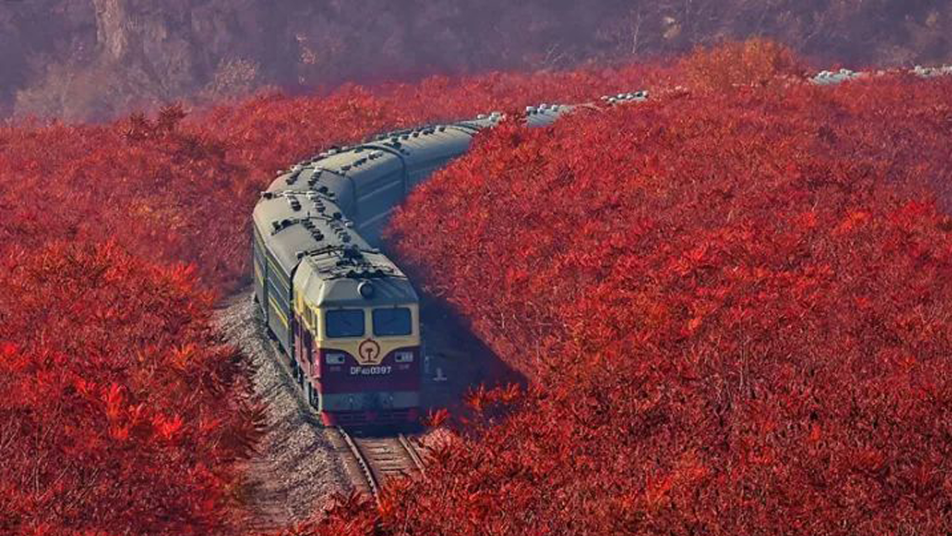 本溪青石岭村图片