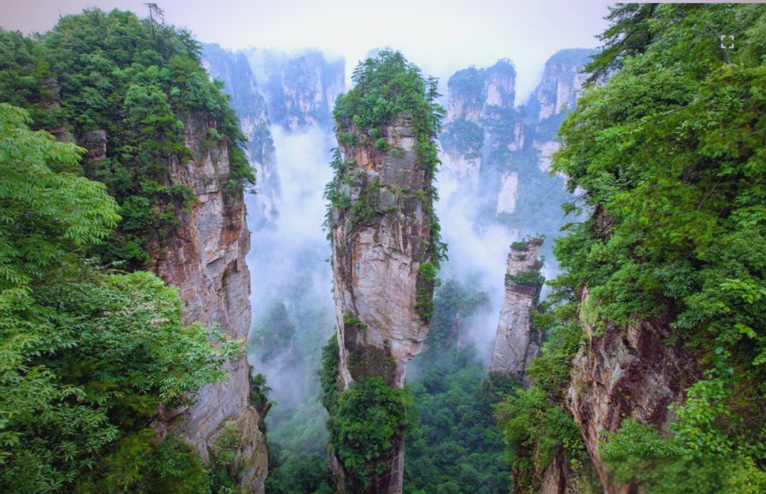 探寻张家界砂岩峰林:世界自然遗产的瑰宝