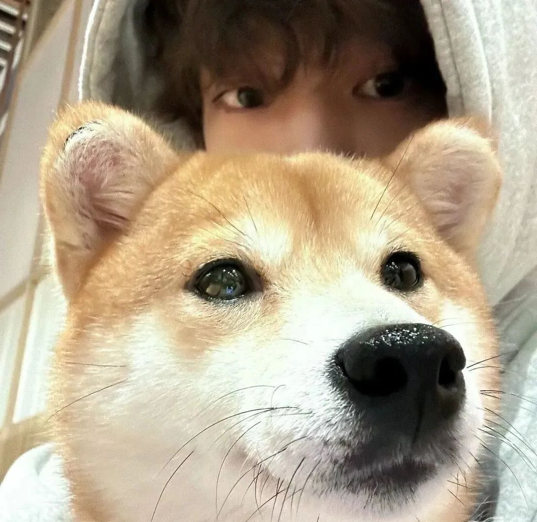 2024年ins高级质感网络男神精选