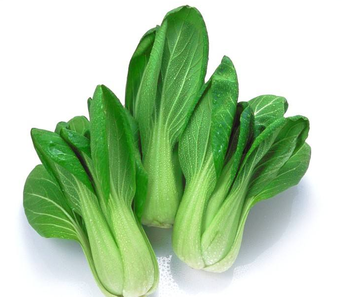 油菜和上海青的区别