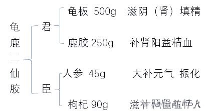 龟鹿二仙胶:肾阴阳平衡的天然良方
