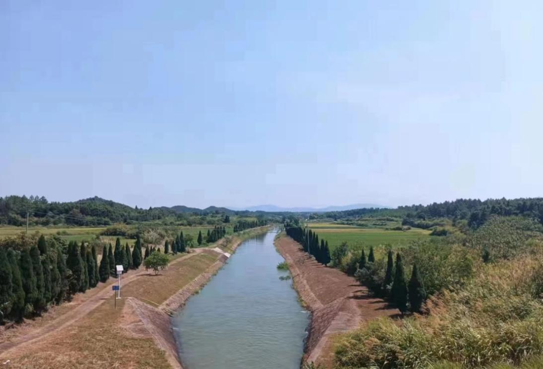 灌溉用水基本保证鄱阳湖五河水库群抗旱效益显现