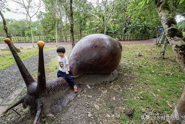 臺灣酋長鳳梨:從單一種植業如何走上品牌化產業化發展之路