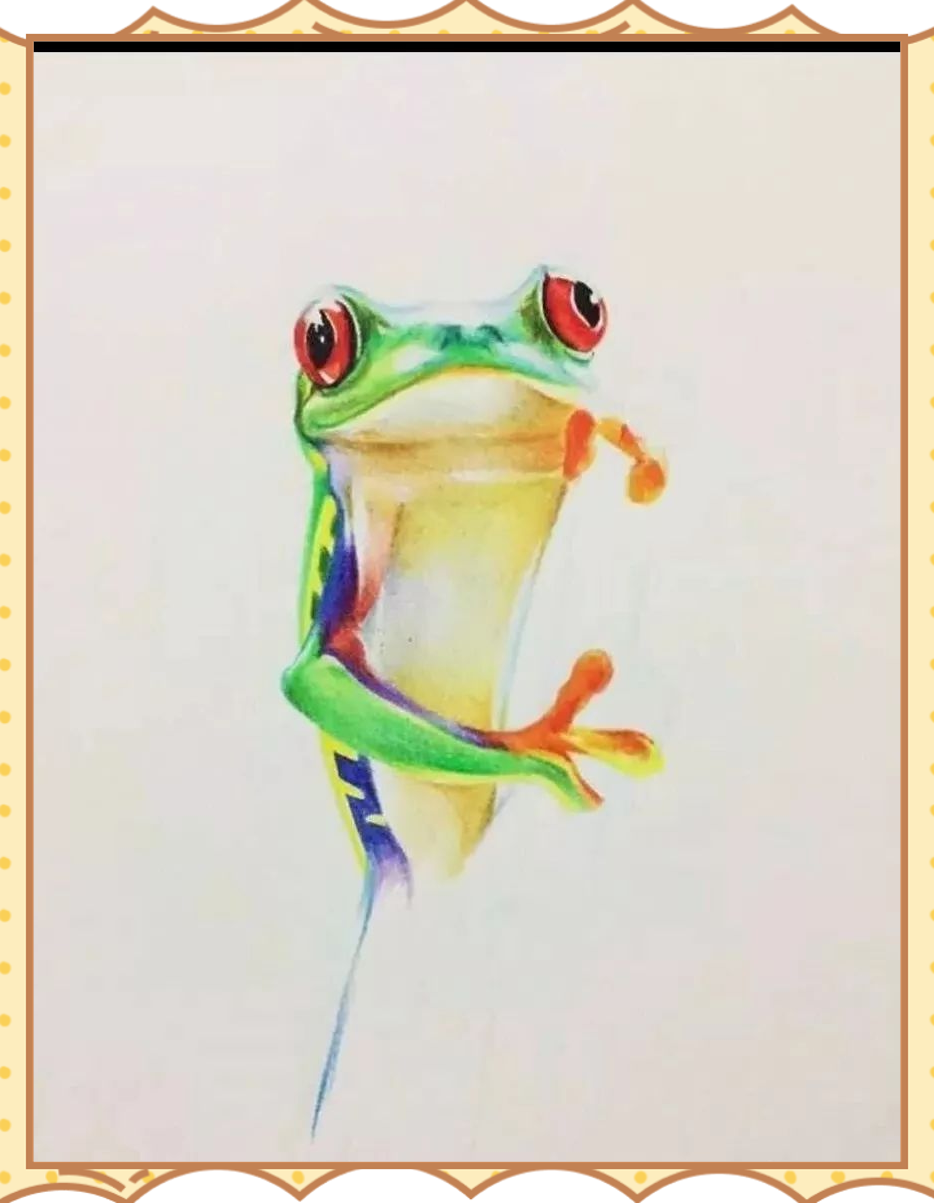 用彩铅绘制生动青蛙的详细步骤