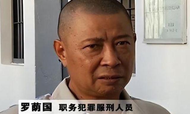 广东"巨虎"周镇宏:疯狂敛财1.35亿无人发现,被下属牵连落马