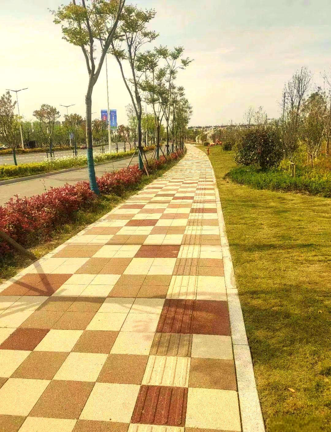陶瓷透水砖的多样规格与颜色,为城市增添活力与色彩