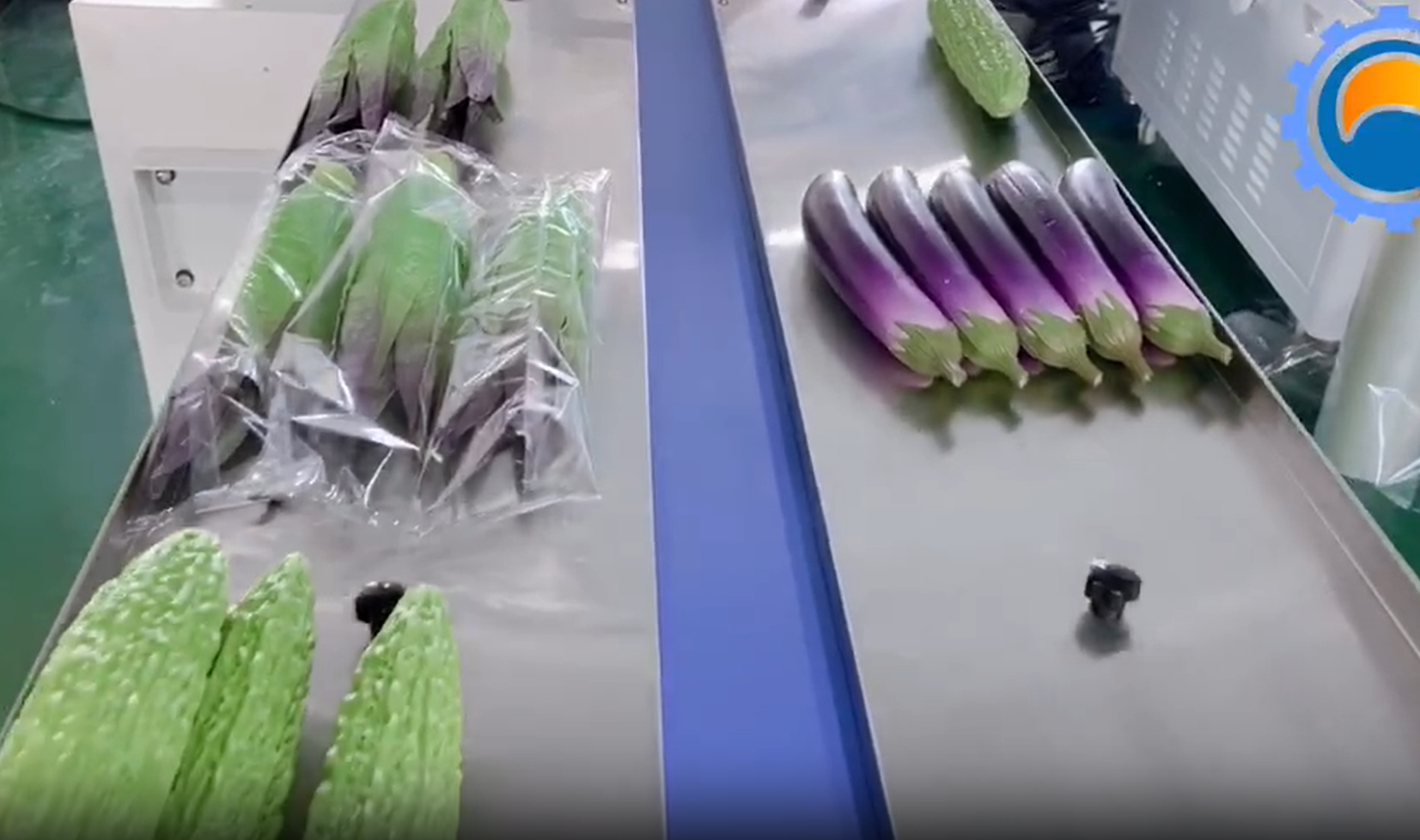 创新实操细节:实现蔬菜精包装的有效方法和技巧