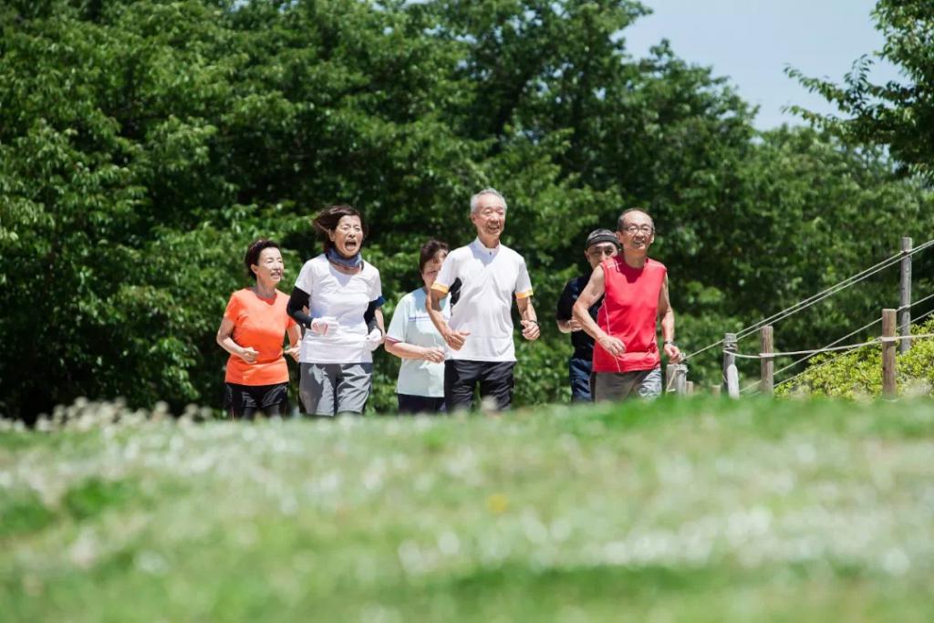 中民國康康養集團佈局,字號設立解讀分析