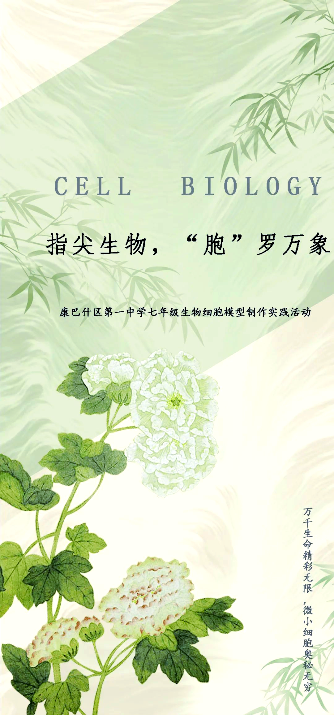 康巴什区第一中学生物组举办细胞模型制作活动,探索微观世界奥秘