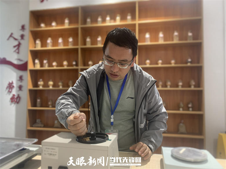 邵鹏:扎根田间地头 播下产业新希望