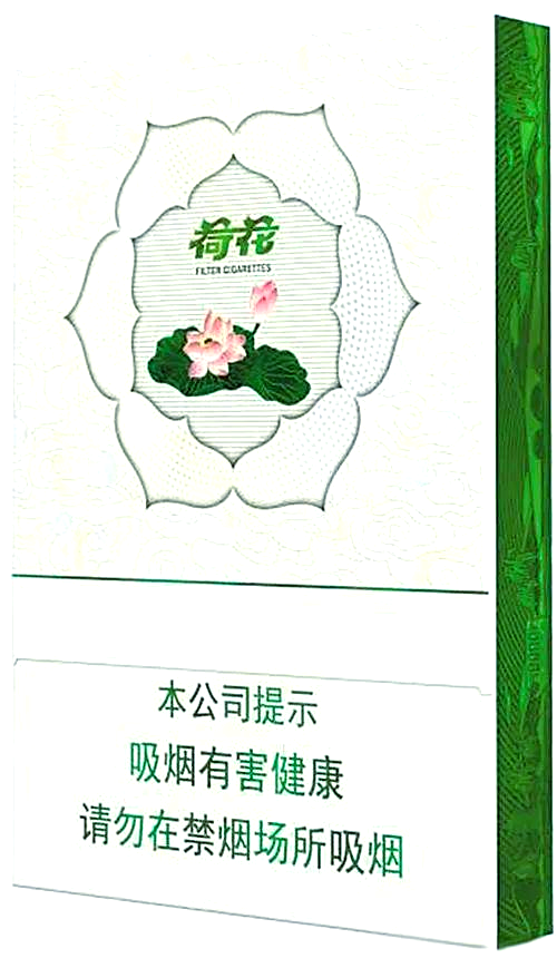 :味觉与艺术的完美交融,品质生活的尊贵象征