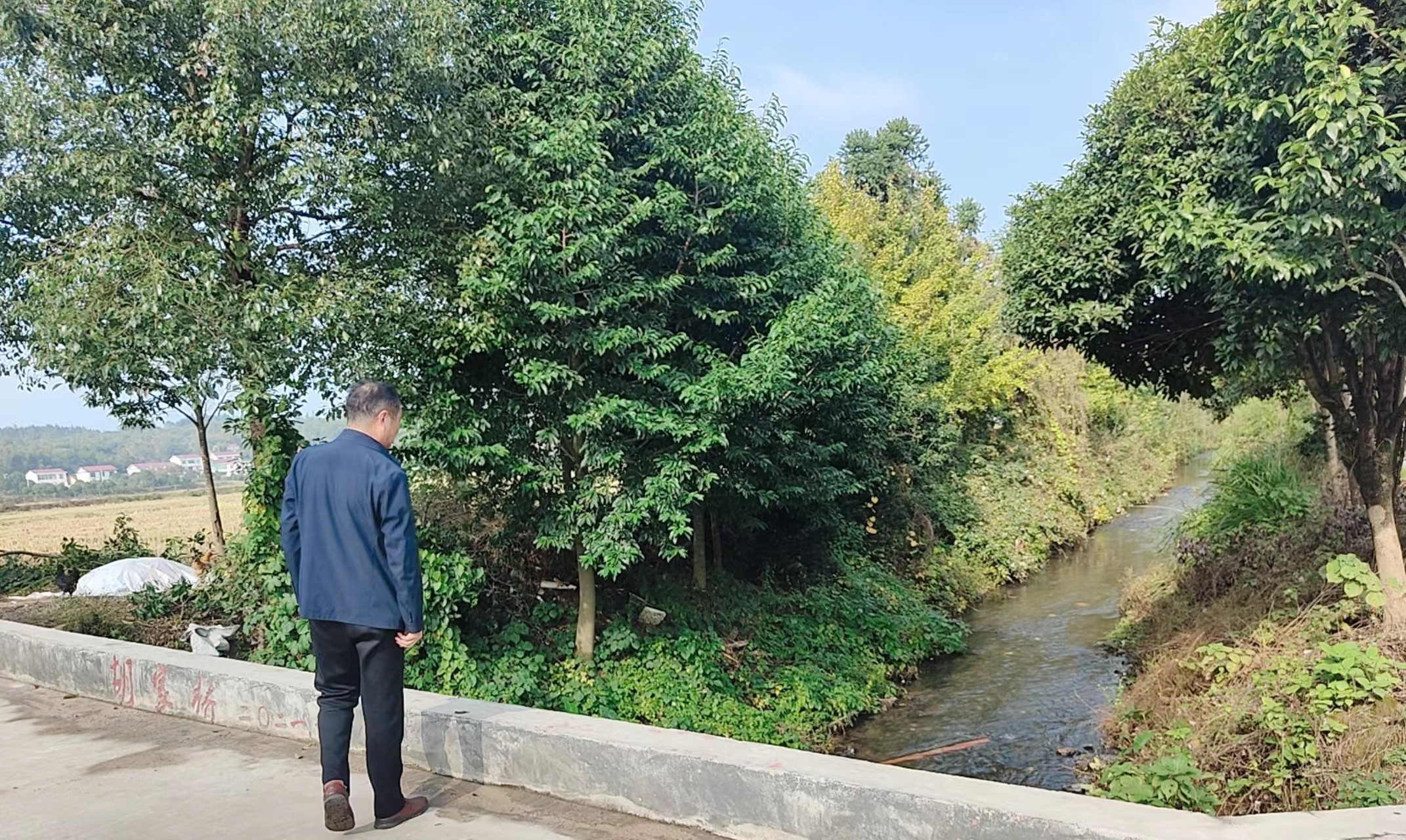 浏阳市普迹镇金峰村:一位村级河长的"巡河日记"