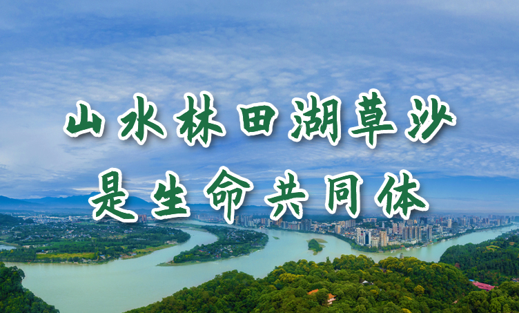 公益广告:山水林田湖草沙是生命共同体